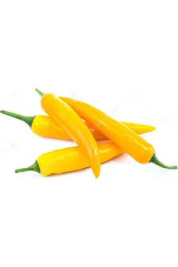 30 Adet Tohum Nadir Sarı Acı Süs Bberi Organik Ata Tohum Sarı Ceyenne Süs Biber Sürpriz Hediye Tohum