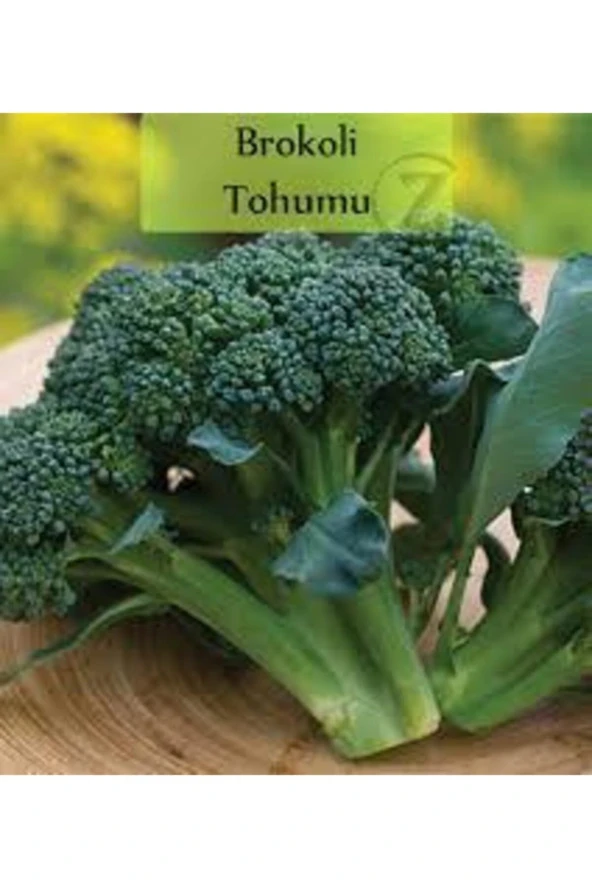 100 Adet Tohum Yeşil Brokoli Tohumu Yeni Sezon Hediye Tohumlu ürün görseli 1
