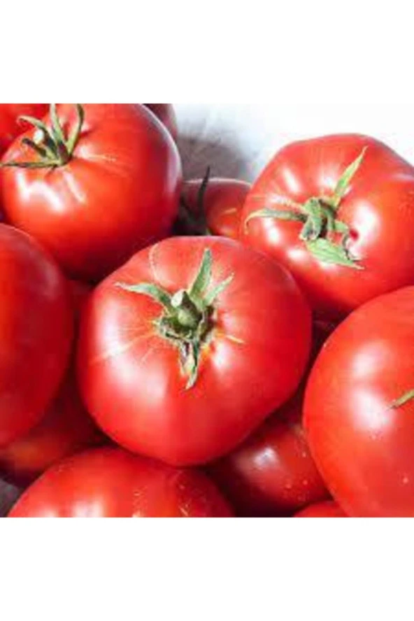 50 Adet Tohum Ankara Ayaş Domatesi Tohumu Domates Tohumu Ayaş Domatesi Süpriz Hediye - Resim 3