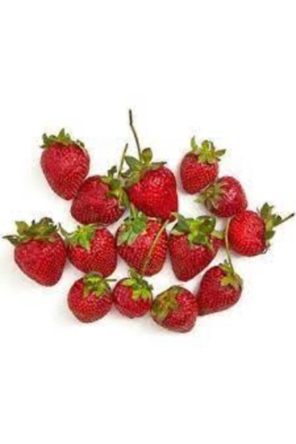 100 Adet Tohum Orjinal Organik Çilek Tohumu Doğal Çilek Tohum Köy Çileği Tohumu Sürpriz Kediye Tohum ürün görseli 1