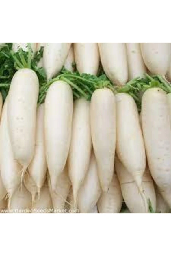 50 Adet Tohum Nadir Beyaz Uzun Turp Tohumu Beyaz Çin Turpu Tohumu Sürpriz Hediye Tohumlu ürün görseli 1