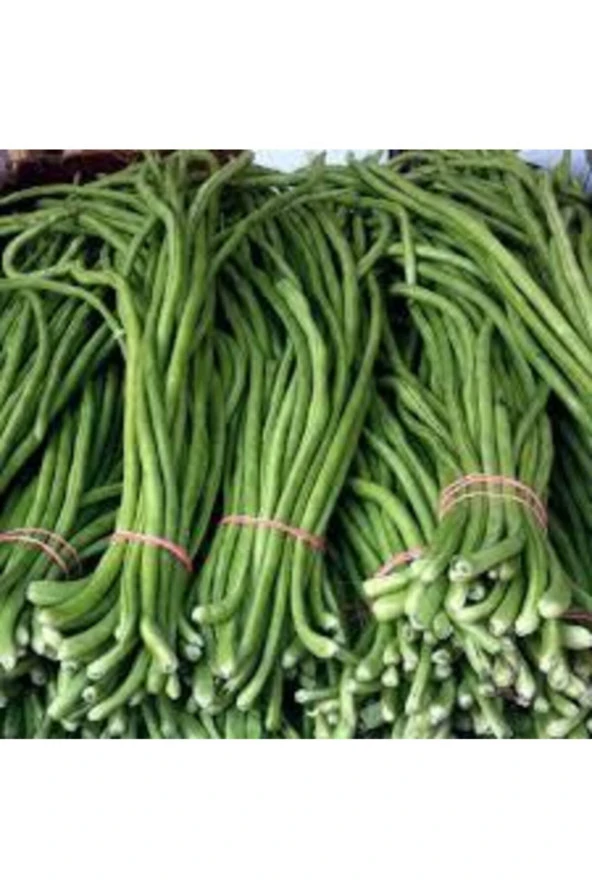 20 Adet Tohum Uzun Yeşil Çin Fasulyesi Tohumu Sürpriz Hediye Tohum Yeni Mahsül ürün görseli 1