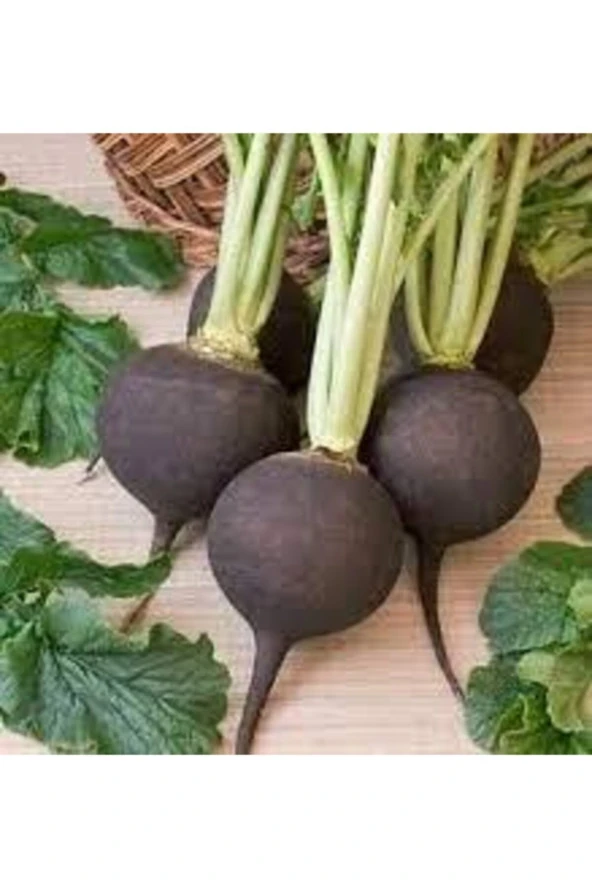 30 Adet Tohum Siyah Turp Tohumu Orjinal Kara Turp Siyah Turp Tohumu Sürpriz Hediye Tohumlu ürün görseli 1