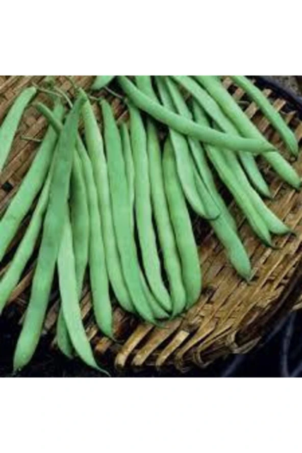 30 Adet Tohum Eko Paket Kılçıksız Simbo Fasulye Tohumu Nadir Fasülye Tohumu Sürpriz Hediye Tohumlu ürün görseli 1