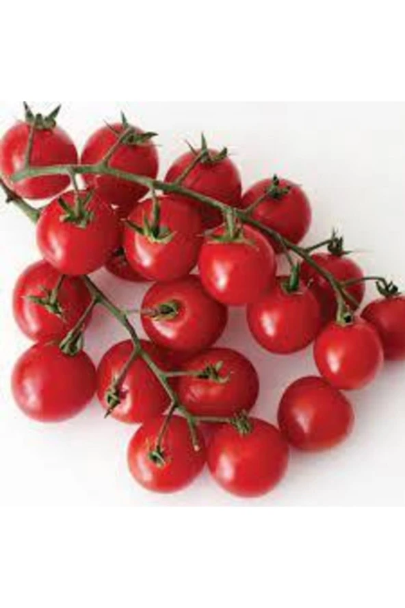 150 Adet Tohum Eko Paket Nadir Ithal Pinpon Domates Tohumu Sürpriz Hediye Tohumludur - Resim 2