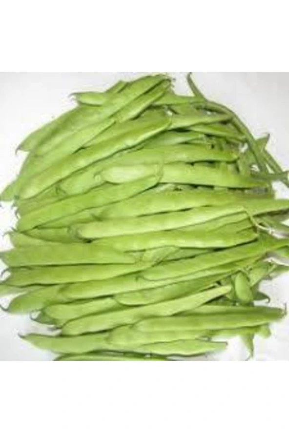 30 Adet Tohum Eko Paket Kılçıksız Simbo Fasulye Tohumu Nadir Fasülye Tohumu Sürpriz Hediye Tohumlu - Resim 2