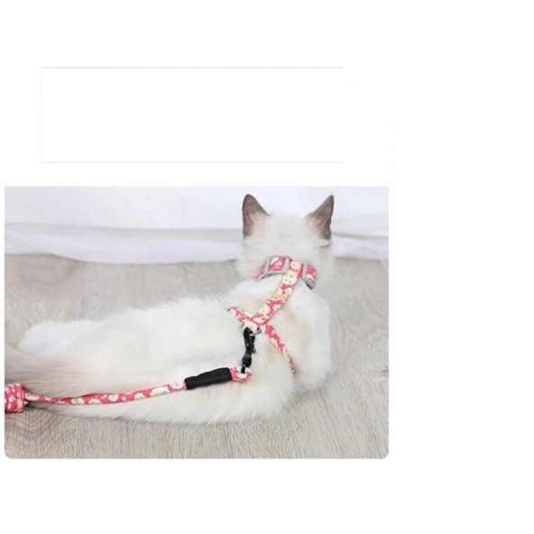 KEDİ GÖĞÜS TASMASI VE GEZDİRME SETİ - 2