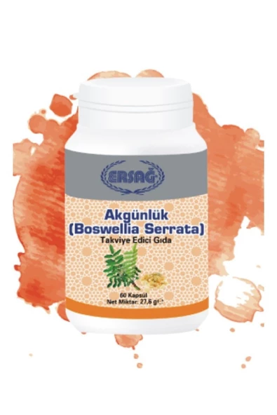 Ersağ Akgünlük K4