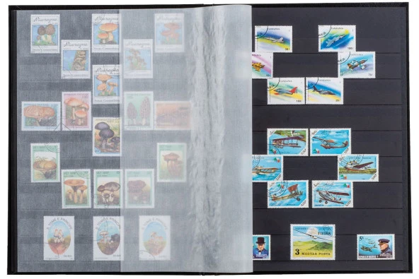 PULKO HistorY 1970 Pul Defteri Klasik, 30 Yaprak, 60 Sayfa, A4+, Siyah Zemin, - 2