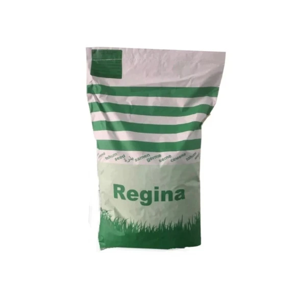 Regina 7li Karışım İtal Çim Tohumu 1kg