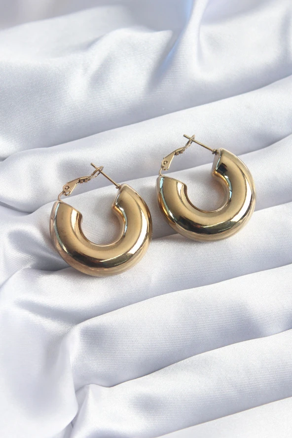 316L Çelik Gold Renk Halka Model Kadın Küpe ürün görseli