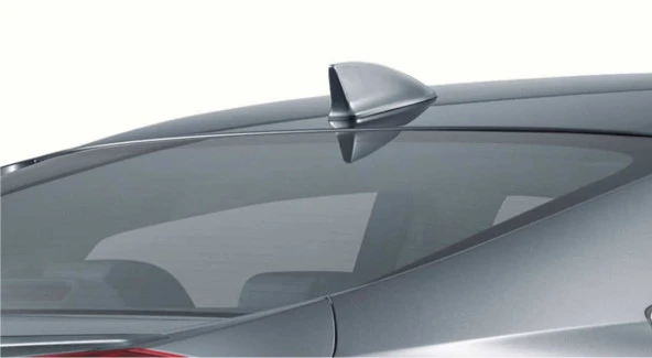 Balık Sırtı Uyumlu Boyasız - Resim 4