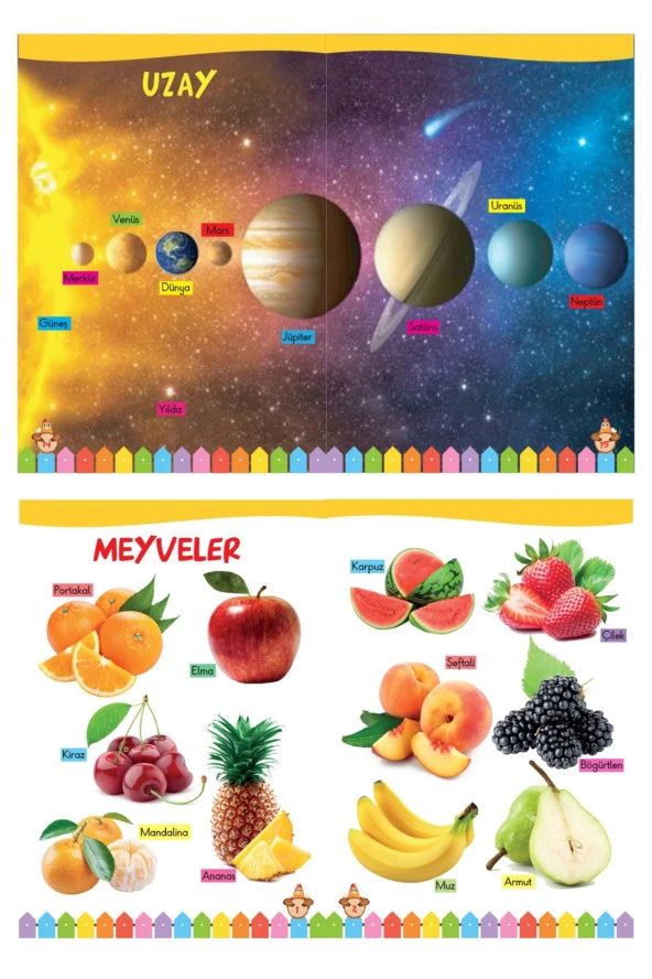 3-6 Yaş İlk Kelimelerim Seti 850 Kelime Öğreten 5 Kitap - 3