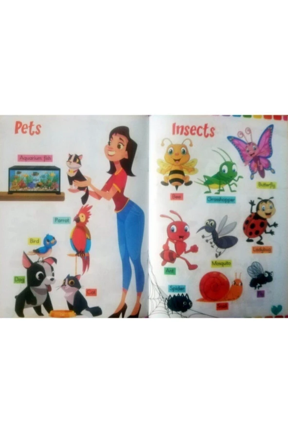 Okul Öncesi İngilizce ve Kodlama Eğitim Seti 10 Kitap - 2