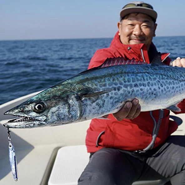 Longin Greed 40gr Shore Jig Metal Jig Yem  S098MK ürün görseli