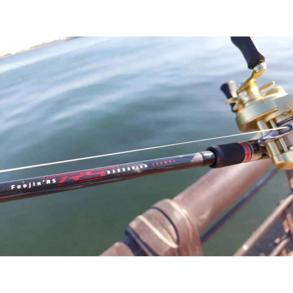 Apia Foojin NEW RS Barbarian C90MH+ 274cm 20-70 gr Tetikli Spin Olta Kamışı - Resim 2