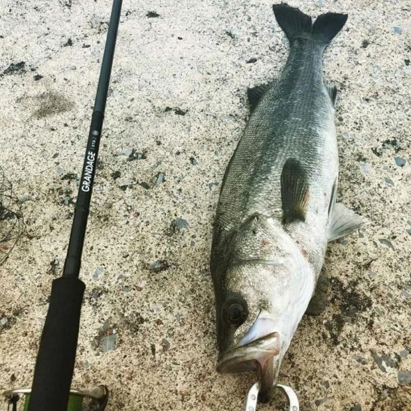 Apia Grandage STD 100M 305cm 12-42gr Spin Olta Kamışı ürün görseli