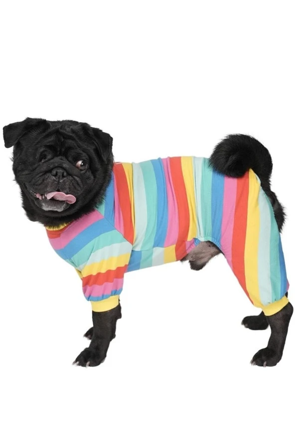 Pawstar Colorfit Rompers Renkli Kedi Köpek Penye Pijama Tulum Medium