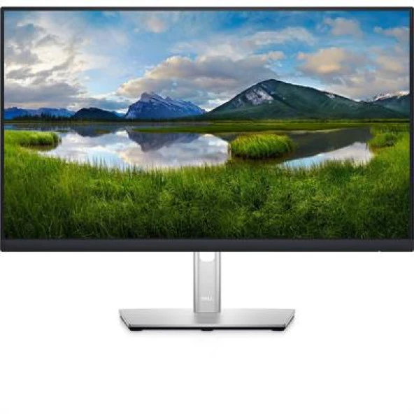 DELL P2422HE 23.8" 8MS 1920x1080 HDMI/DP/TYPE-C PIVOT 60HZ SİYAH/GÜMÜŞ FULL HD IPS MONITOR