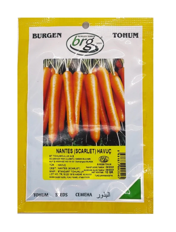 Havuç Tohumu 10 GR BT