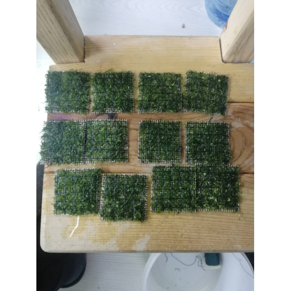 Java Moss 10'lu Paket 5x5 Tele Sarılı