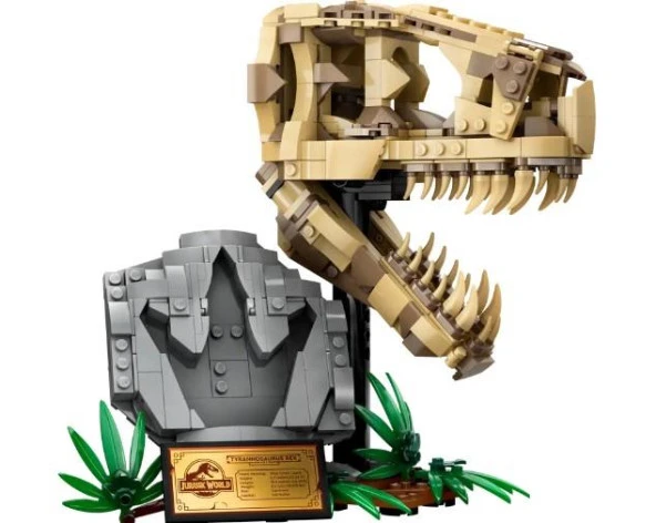 Lego Jurassic World 76964 Dinosaur Fossils: T. Rex Skull - Resim 2