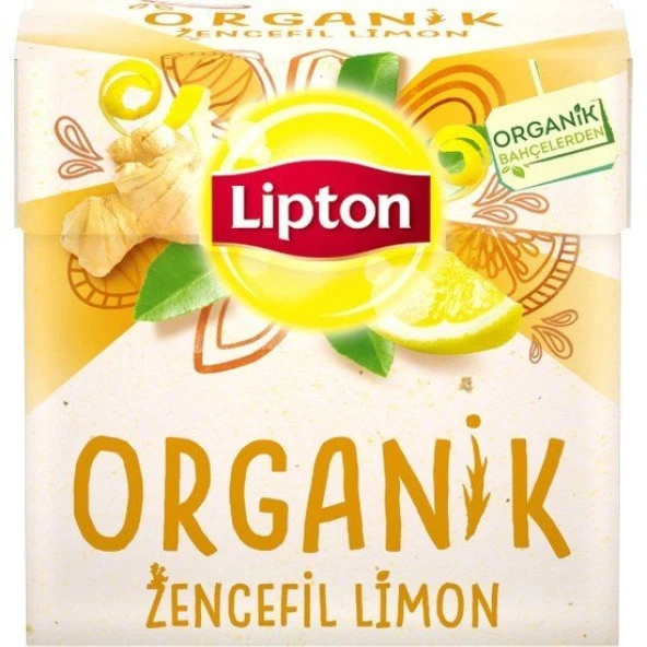 Lipton Zencefil Limon 40 Gr 21063