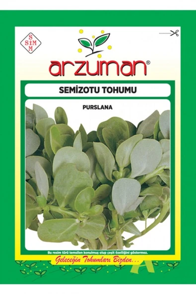 ARZUMAN SEMİZOTU TOHUM (TOROS NAZLISI ) 10 GR ürün görseli 1
