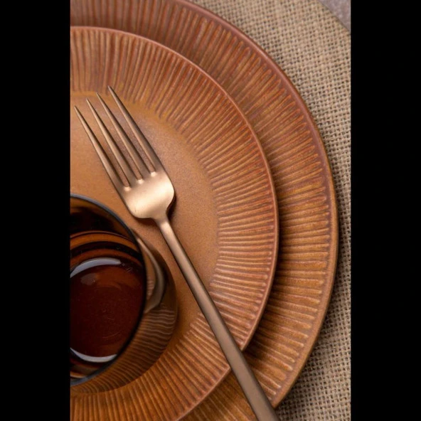 Zenit Savana 24 Parça Porselen Yemek Takımı - 3