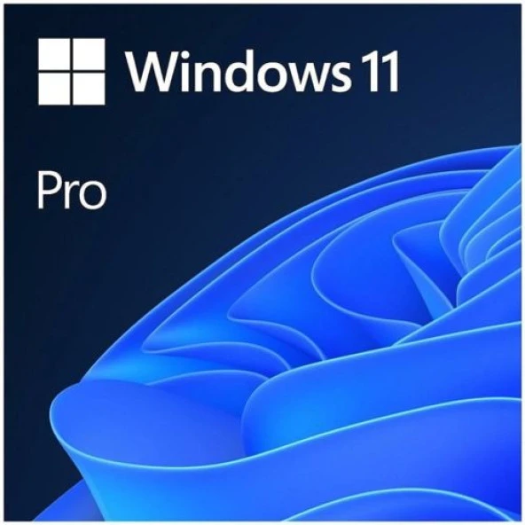 MS WINDOWS 11 PRO 64Bit TR OEM FQC-10556