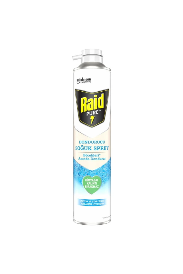 RAİD Pure Böcek Dondurucu Sprey 350 Ml