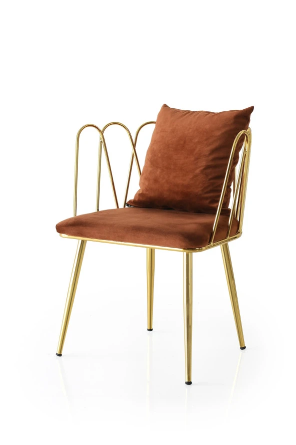 Mkd - Mgsan 405 -g1 / Tumay Sandalye Gold Ayak Kahve