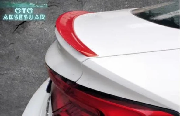 Audi Spoiler Anatomik 2017 Ve Sonrası Boyalı