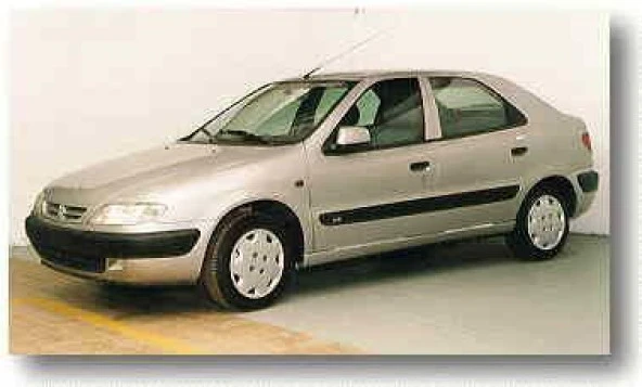 Coil-Ex Citroen Xsara 1996 Sonrası Spor Yay 45 Mm ürün görseli