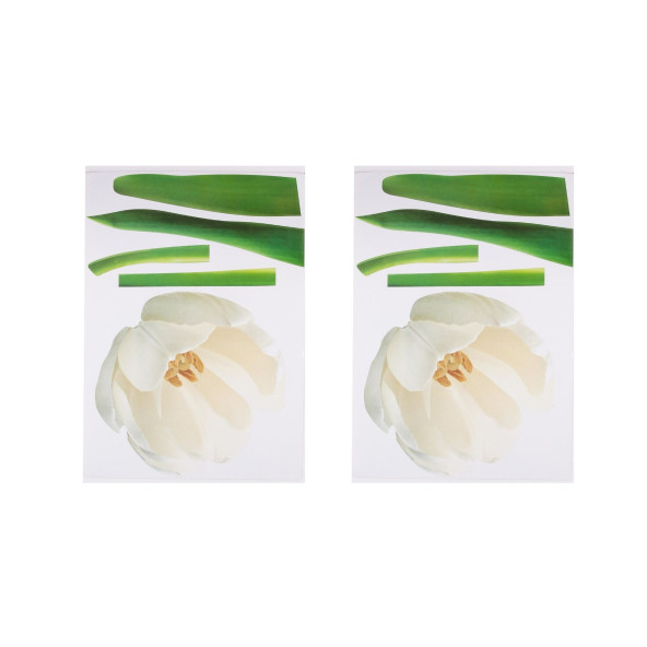 DUVAR SÜSÜ (STİCKER) 2 ADET ÇİÇEKLİ ŞEFFAF FİLMLİ PVC 70X50X0,5CM - 2