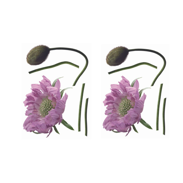 DUVAR SÜSÜ (STİCKER) 2 ADET MOR ÇİÇEKLİ ŞEFFAF FİLMLİ PVC 70X50X0,5CM - 2