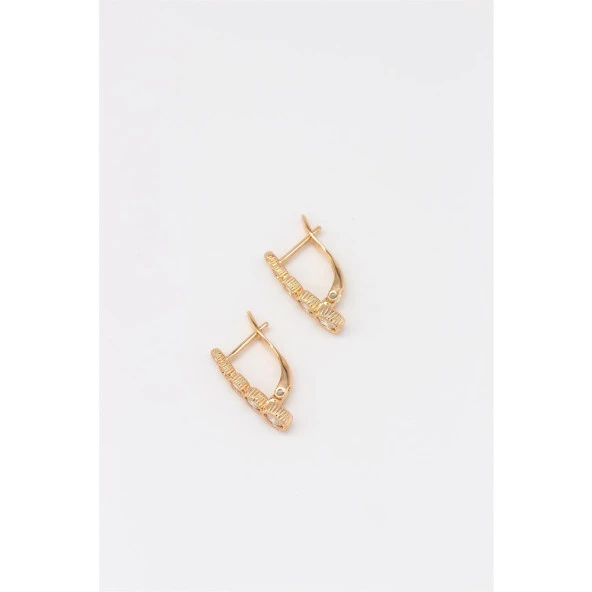 Taşlı VIP Küpe - 2