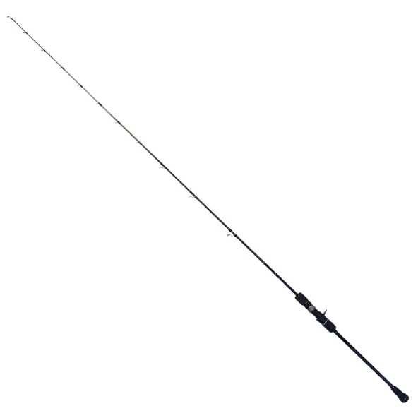 Ryuji Oceanus 190 cm 200 gr Jig Kamış