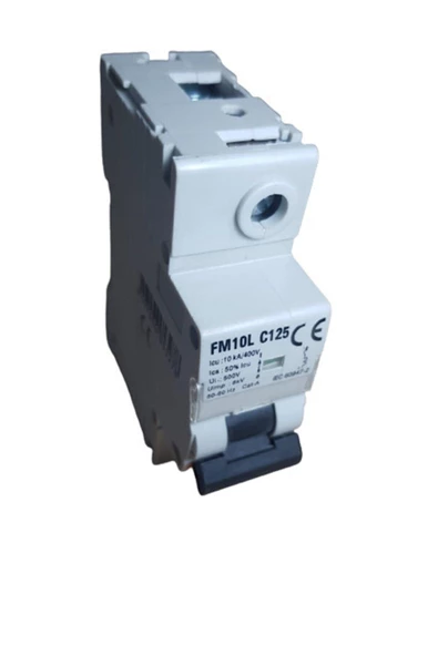125A C/10KA OTOMATİK SİGORTA FEDERAL