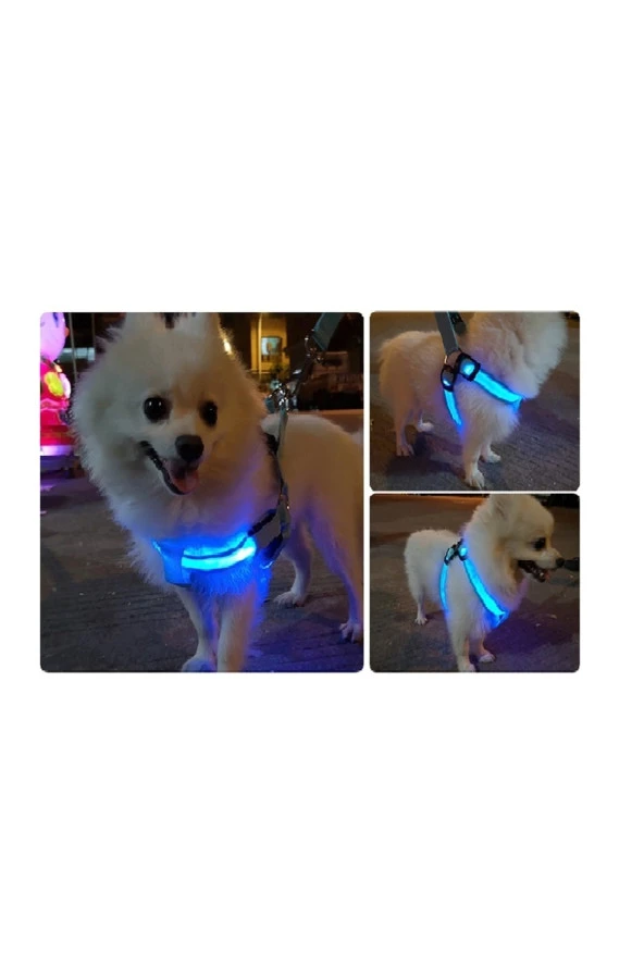 TechTic  Led Işıklı Kedi Köpek Göğüs Tasması Küçük Irk Harness Air Mash Evcil Hayvan Ayarlanabilir Tasma