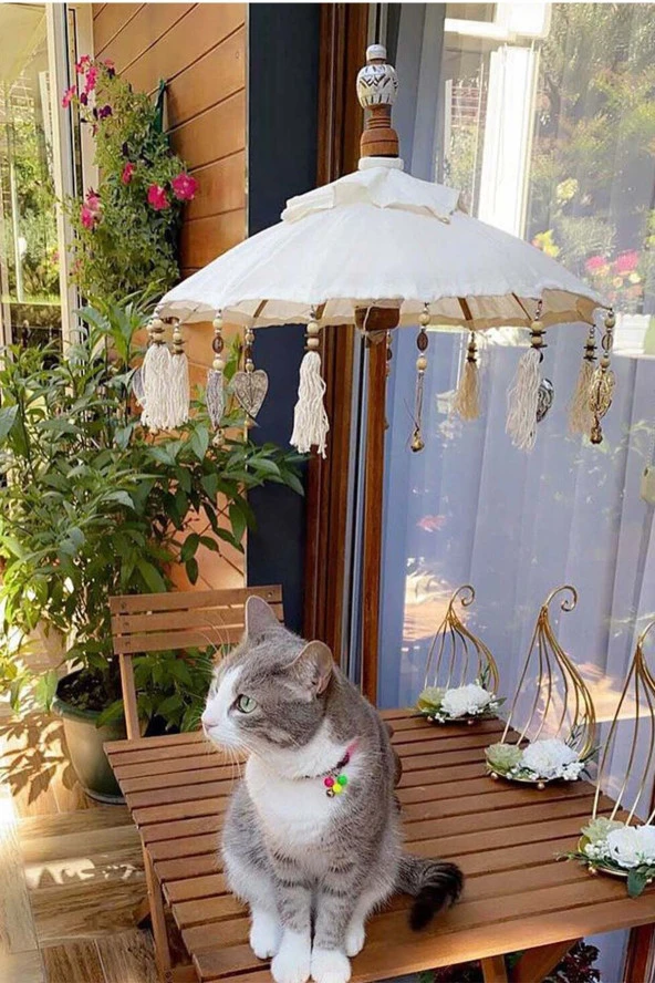 Prodiva Dekoratif El Yapımı Bali Şemsiye, Krem, 80 Cm - 3