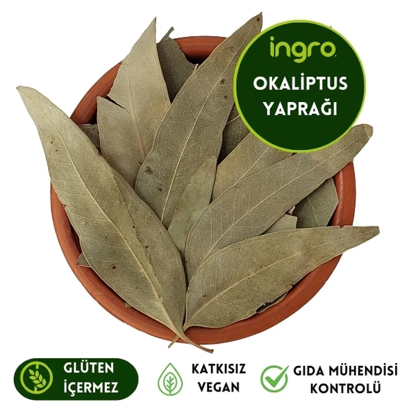 İngro Okaliptus Yaprağı 100 gr ( Doğal Kurutulmuş, Elenmiş, Katkısız )