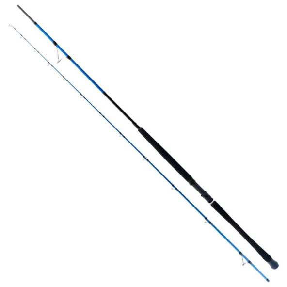 Ryuji Shore Game Fuji 295cm 30-100gr 2 Parça Shore Jig Kamış