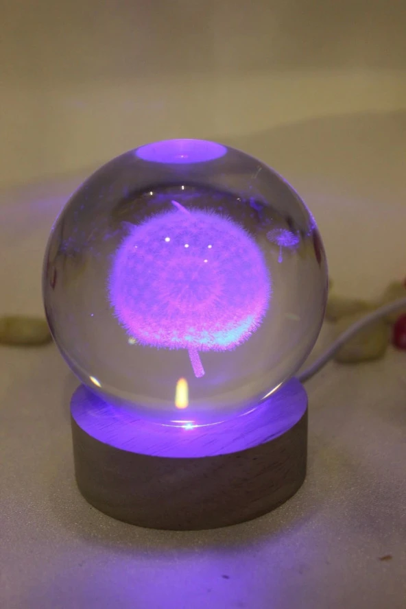3D Led Işık Cam Küre Çok Işıklı Ahşap Hindiba Çiçeği 6 cm