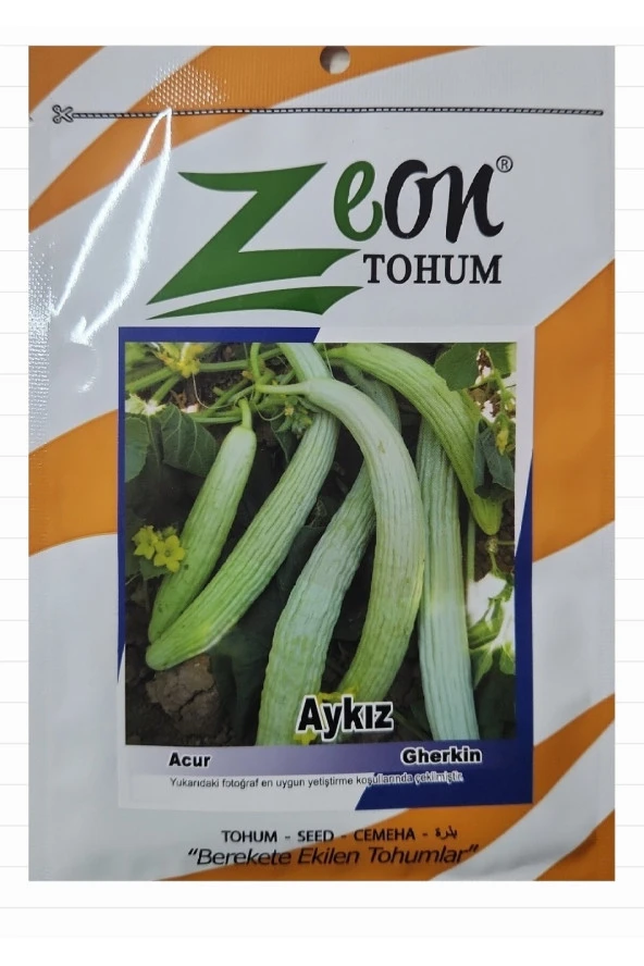 Acur Tohumu Aykız - 10 gr - 3