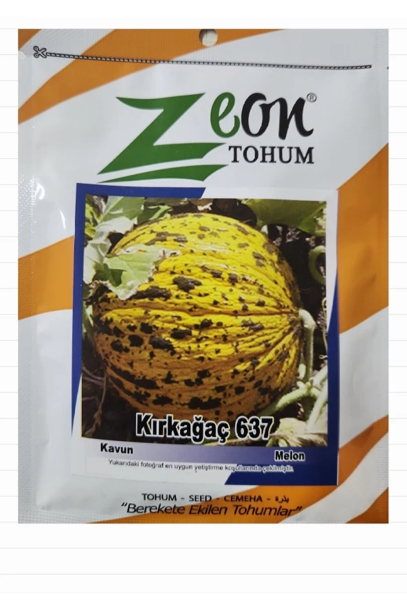 Kavun Tohumu Kırkağaç 637 - 10 gr (250-400 Adet Tohum) - 3