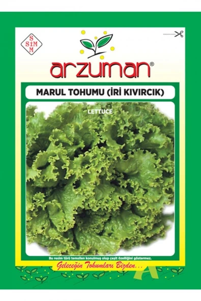 ARZUMAN İRİ KIVIRCIK MARUL TOHUMU 10 GR ürün görseli 1
