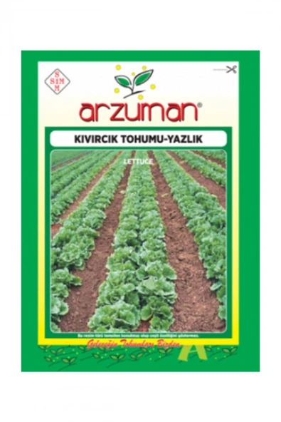 ARZUMAN YAZLIK KIVIRCIK MARUL 10 GR ürün görseli 1
