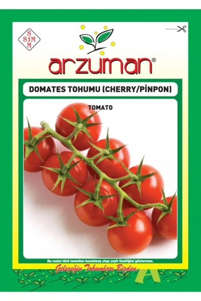 ARZUMAN  CHERRY TİPİ PİNPON DOMATES TOHUMU 250 ADET - Resim 2