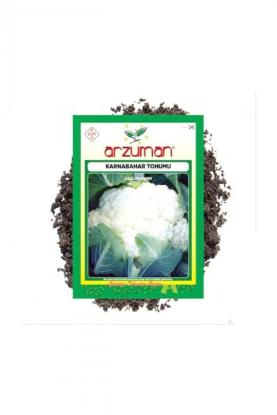 ARZUMAN KARNABAHAR TOHUMU ürün görseli 1